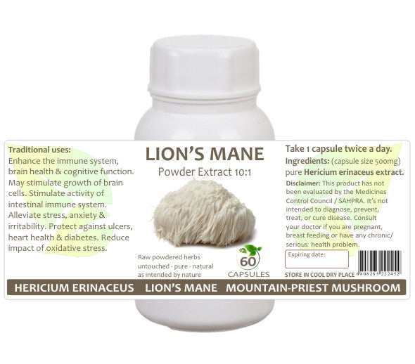 Lion's Mane Mushroom
