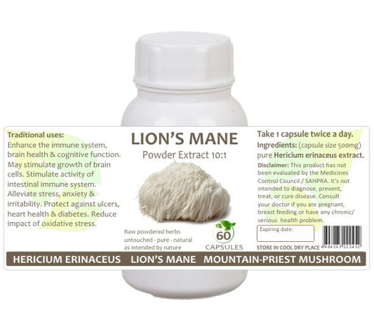 Lion's Mane Mushroom