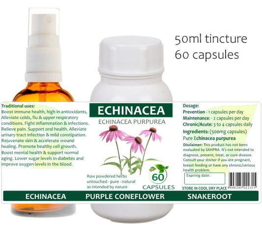 Echinacea