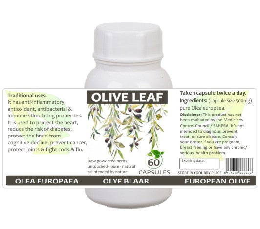 Olive Leaf