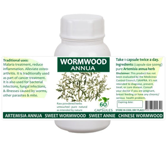 Wormwood Sweet Annie