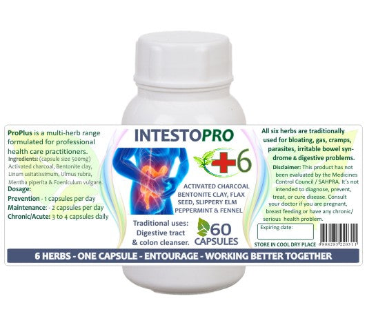 IntestoPro