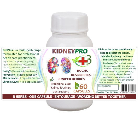 KidneyPro