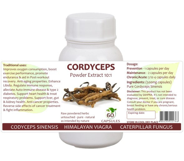 Cordyceps