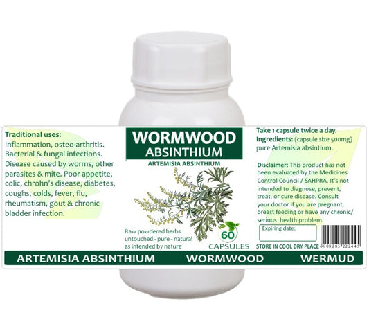 Wormwood Absinthium