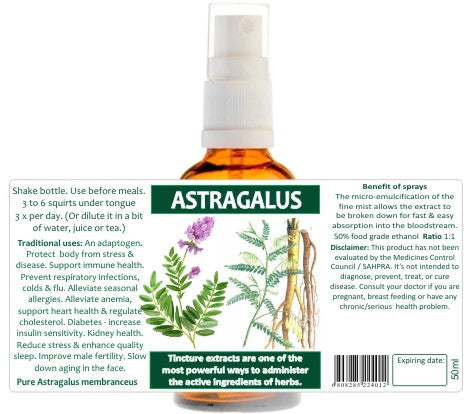 Astragalus