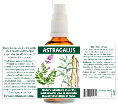 Astragalus