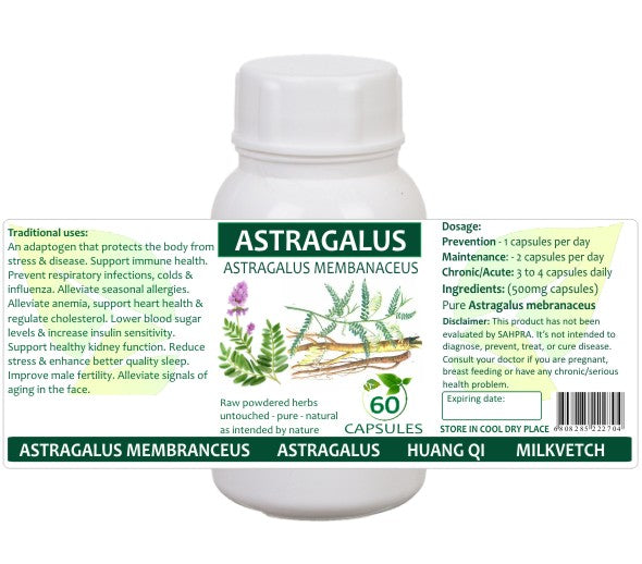 Astragalus