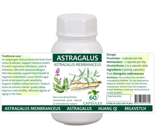 Astragalus
