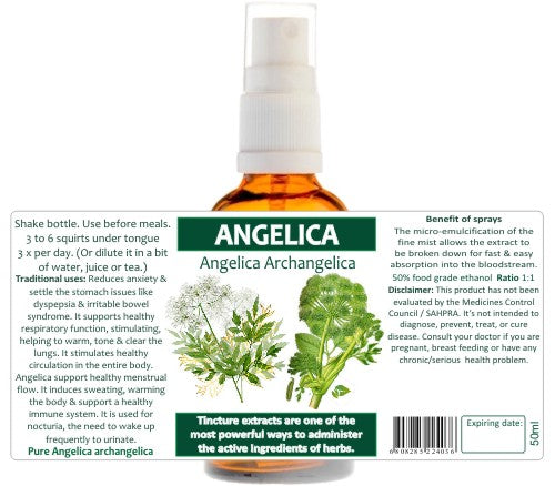 Angelica Root