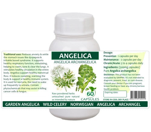 Angelica Root