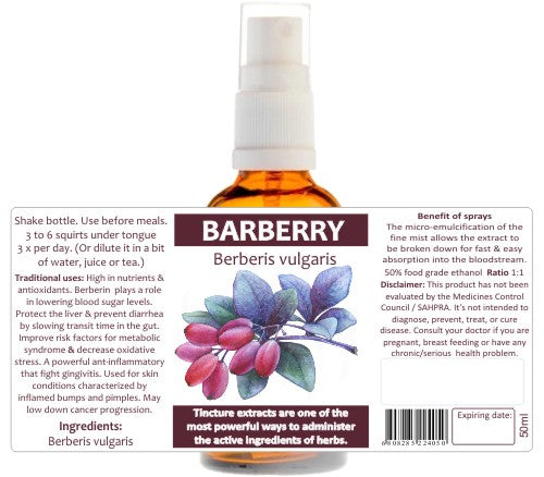 Barberry