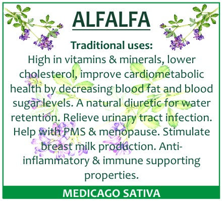 Alfalfa