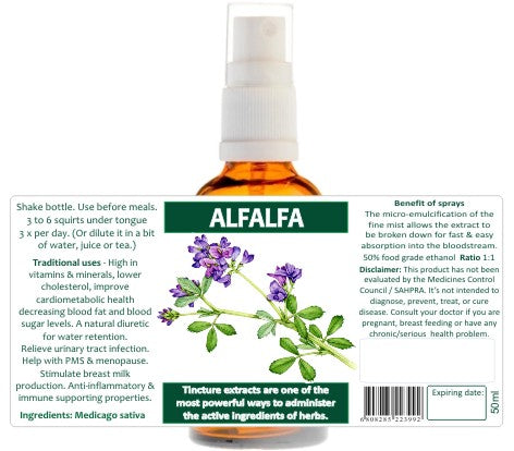 Alfalfa