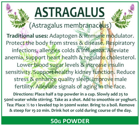 Astragalus