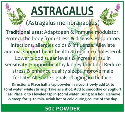 Astragalus