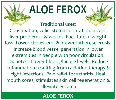 Aloe Ferox