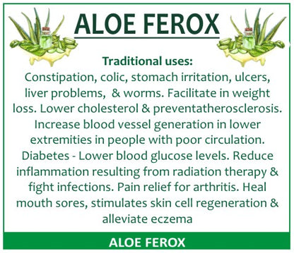 Aloe Ferox