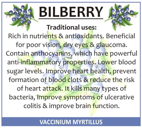 Bilberry (Blueberry)