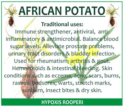 African Potato
