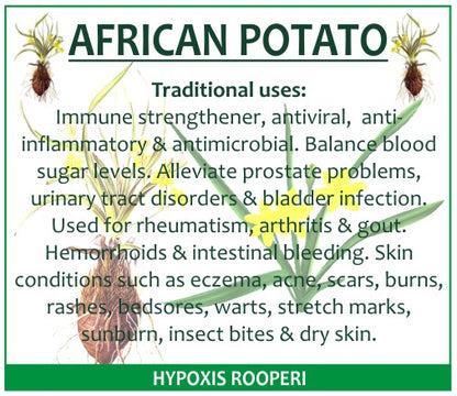 African Potato