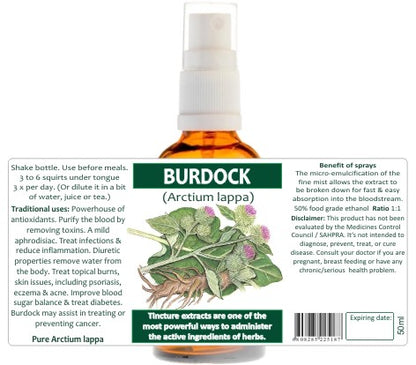 Burdock Root