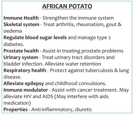 African Potato