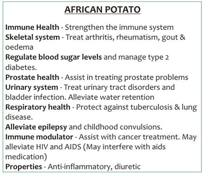 African Potato