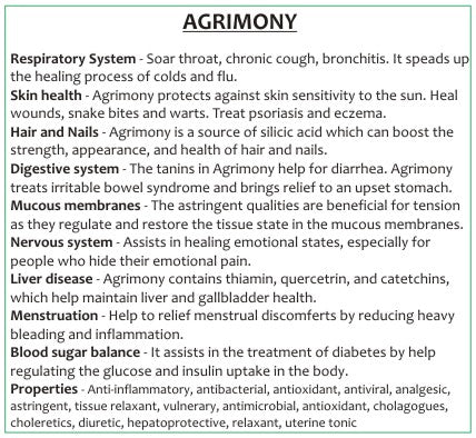 Agrimony