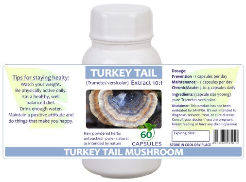 Turkey Tail Mushroom